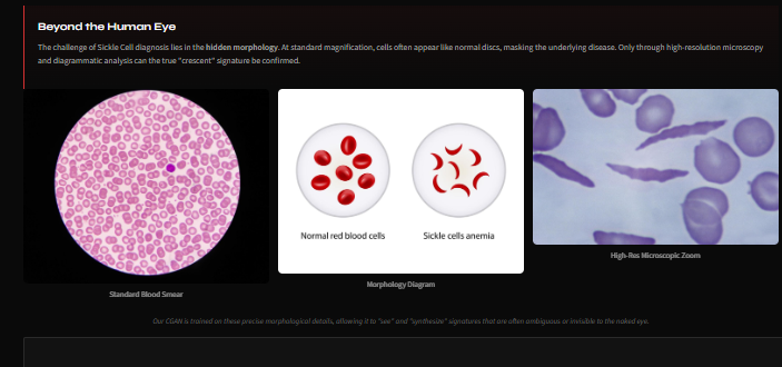 Cell Morphology zoom
